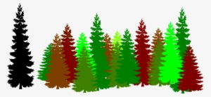 Pine Clipart Forest Tree - Pine Tree Silhouette Png