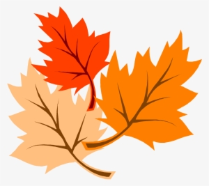 Thanksgiving Leaves - Thanksgiving Clipart