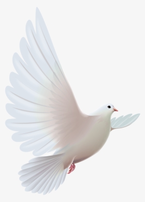 Фото, Автор Soloveika На Яндекс - Pomba Do Espirito Santo Png