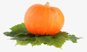 Pumpkin Png Free Download - Pumpkin Png