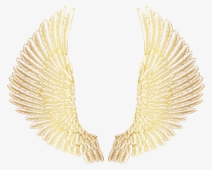 Wings Png