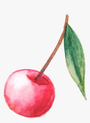 Red Hand Painted Style Cherry Transparent - Cherry