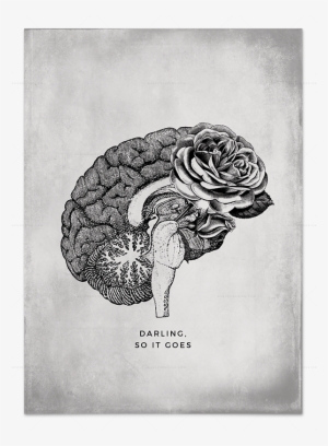 Falling Love Brain - Zazzle Gehirn-anatomie-illustrations-plakat Poster