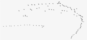 Flock Of Birds Png Clip Black And White Library - Flock