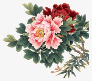 Oil Painting Flowers, China Painting, Watercolor Flowers, - Peony Flower Chinese