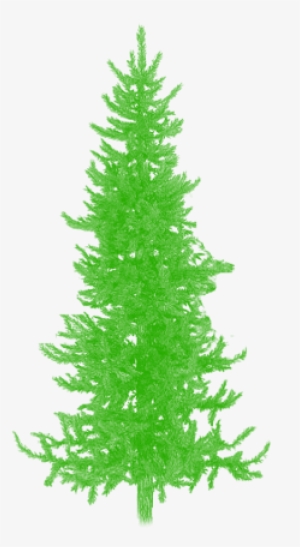 Png Trees Plan For Photoshop Graphic Download - Architectural Tree Png ...