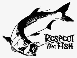 Tarpon Vector Watercolor Clipart Royalty Free - Tarpons