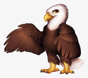 20 9 Bald Eagle - Golden Eagle Furry