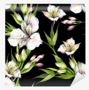 Alstroemeria Drawing Watercolor Svg Freeuse - Drawing