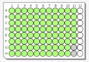 Circle