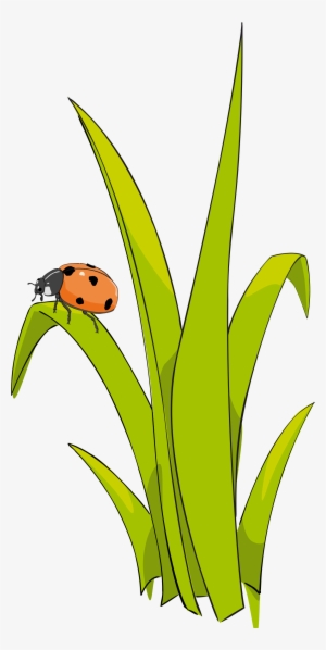 This Free Icons Png Design Of Coccinelle Sur Brin D-herbe