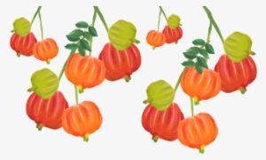 Watercolor Cherry With Leaf Hanging, Watercolor Cherry, - Watercolor Painting