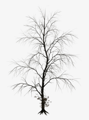 Haunted Tree - Png Trees Black Photoshop