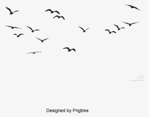 Birds, Animal, Birds Clipart Png Image And Clipart - Birds Flying In The Sky Png