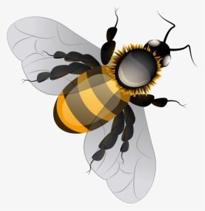 Bee Png Clip Art - Clip Art Bee Png