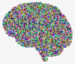Human Brain Computer Icons Drawing Skull - Colorful Brain No Background