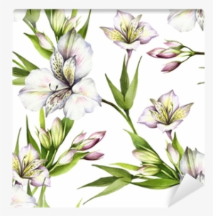 Alstroemeria Drawing Watercolor Svg Freeuse - Watercolor Painting