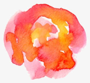 Have You Tried Diets That Haven't Brought You The Results - Watercolor Paint