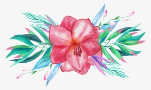 Tropical Watercolor Png Vector Freeuse Library - Tropical Flowers Tropical Watercolor Png
