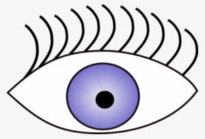 Googly Eyes Human Eye Eye Color Visual Perception - Eye Clip Art