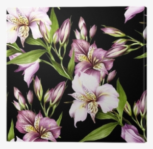 Alstroemeria Drawing Watercolor - Watercolor Painting