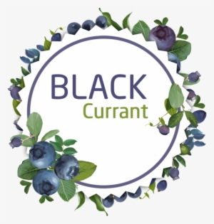Decorative Watercolor Black Currant Wreath Stickers, - Psd