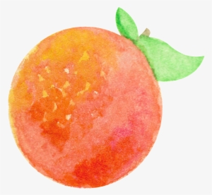 This Graphics Is Watercolor Hand Painted One Orange - Orange