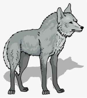Gray Wolf Png Free Hd Gray Wolf Transparent Image Pngkit - roblox timber wolf shirt