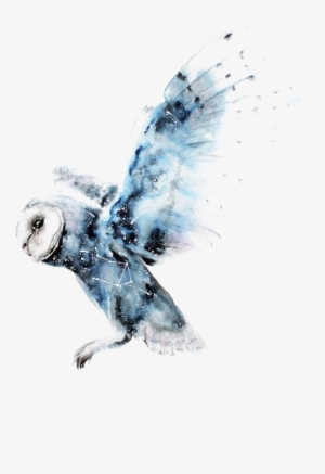 Clip Transparent Library Drawing On Watercolor - Rabidzen All I Am