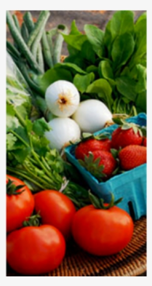 Platter Of Healthy Food