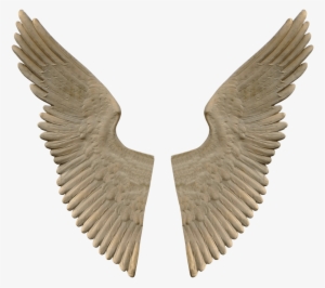Download - Stone Angel Wings Png