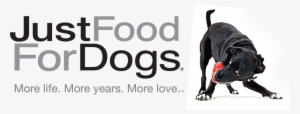 Dog - Dog Food