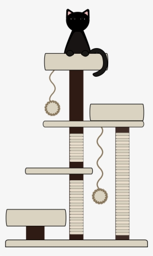 ↑back To Top - Domestic Short-haired Cat