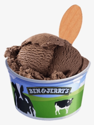 Chocolate Bulk - Chip Off The Dough Block Ben And Jerry's