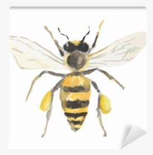 Isolated Watercolor Bee On White Background - Watercolor Painting