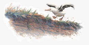 Pages 2 3 Questions - Running