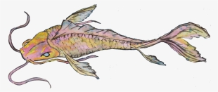 Golden Koi - Catfish