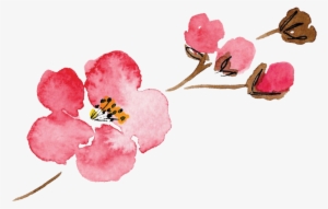 Luella Acres Flower Only - Single Watercolor Flower Png