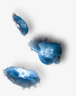 Support Our Mission - Crystal