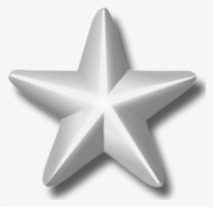 Service Star Silver - Silver Service Star