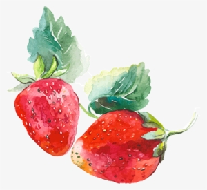 Babydoll Sparkling Blush - Watercolor Strawberry Transparent