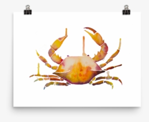 Crab