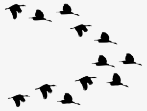 This Free Icons Png Design Of Flock Of Ducks Flying