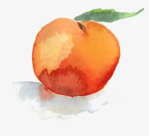 Resources- Five Element Face Reading And Today's Changing - Watercolor Paint