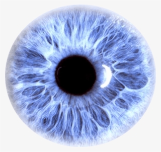 Eye Purple - Eye Png