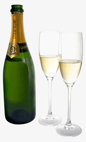 Champagne Two Glasses Bottle - Osabo | Cat Wine Stopper | Cat Lovers | Funny