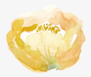 8 Yellow Flower