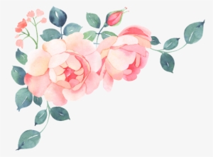 Bougainvillea Drawing Watercolor Graphic Stock - Romantic Roses Watercolor Bouquet