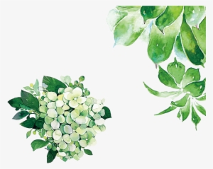 Hand Painted Watercolor Green Leaves Decorative - Green