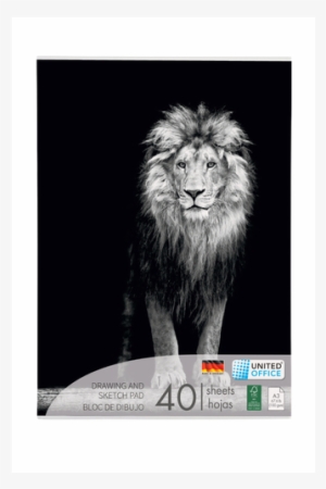 Drawing And Sketch Pad, Lion - Lion Black Background